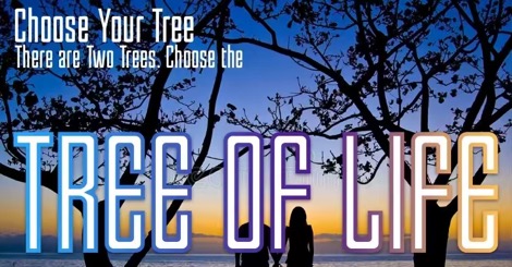 BINGBANGTREE88